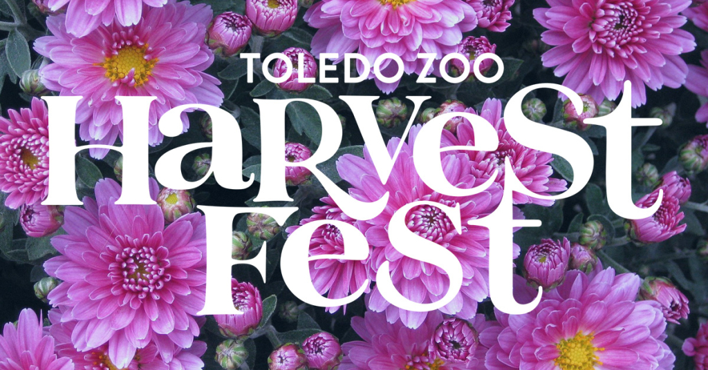 Toledo Zoo Harvest Fest WKKOFM